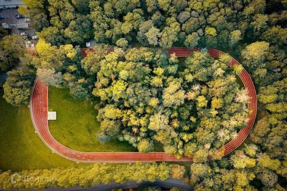 земля г Тамбов р-н Ленинский тер Пригородный Лес городской округ Тамбов фото 6