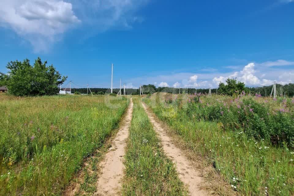 земля р-н Омский село Красноярка фото 5