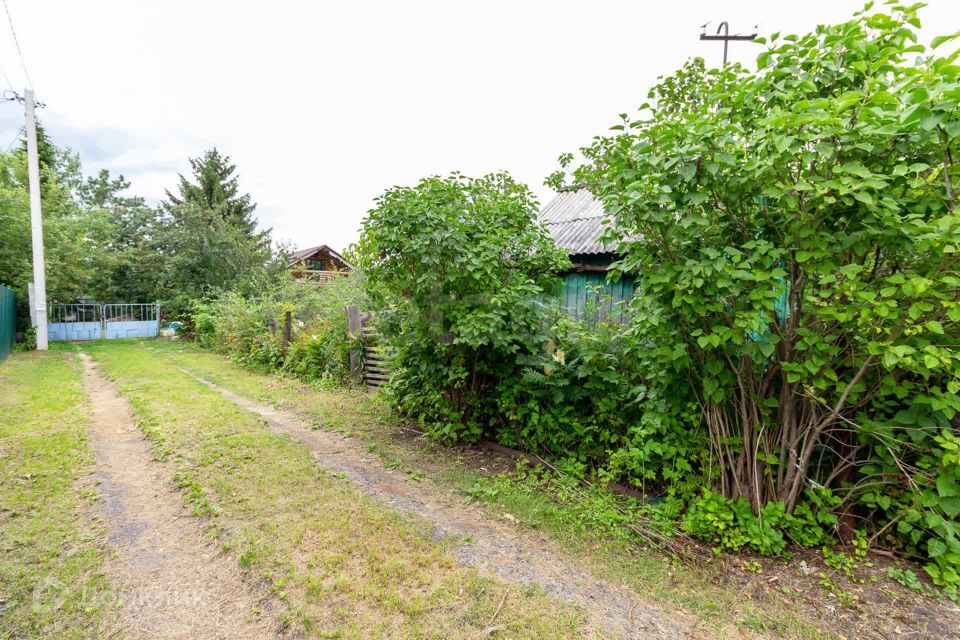 земля г Тюмень городской округ Тюмень, СТ Урожайный фото 2