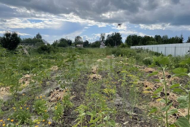 городской округ Тюмень, садовое товарищество Поле Чудес фото