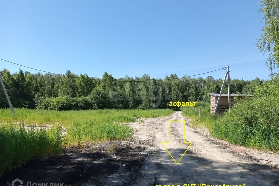 земля р-н Нижнетавдинский с Тюнево ул Зеленая Тюневское сельское поселение фото 4