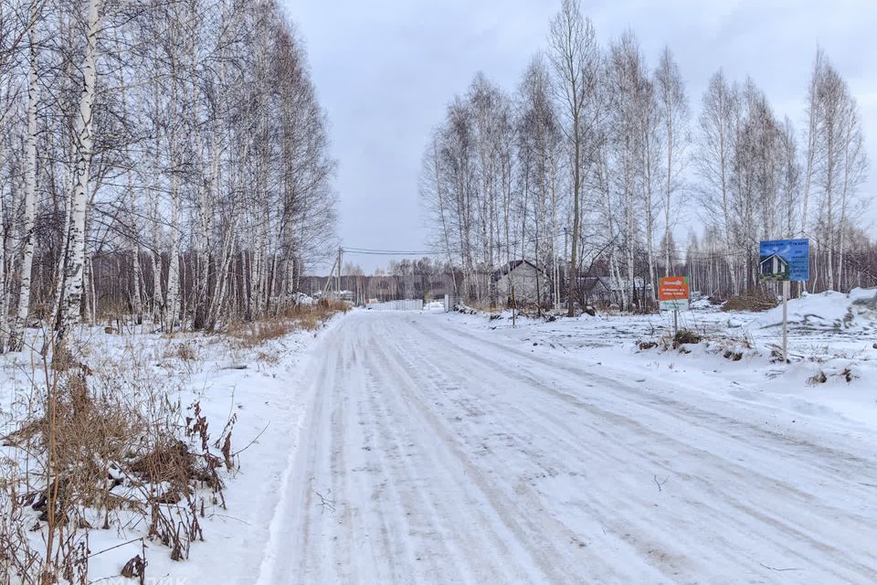 земля р-н Новосибирский ДНТ Фартовый фото 7