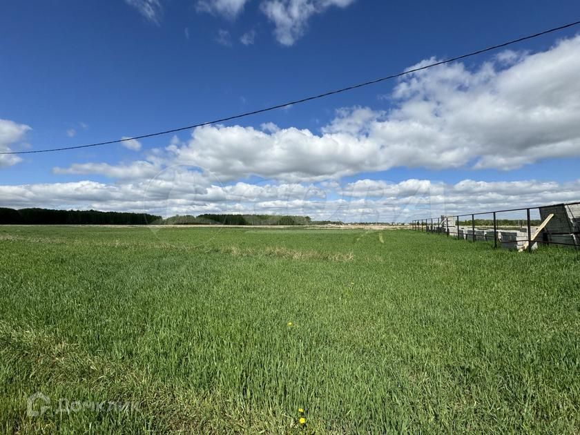 земля р-н Тюменский село Каменка фото 6