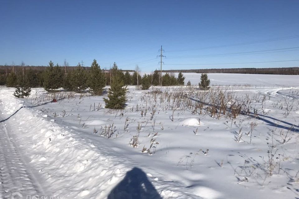 земля р-н Аргаяшский деревня Крутолапова фото 2