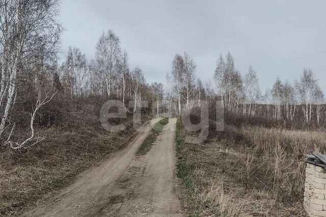 Миасский городской округ, коллективный сад Благодатный фото