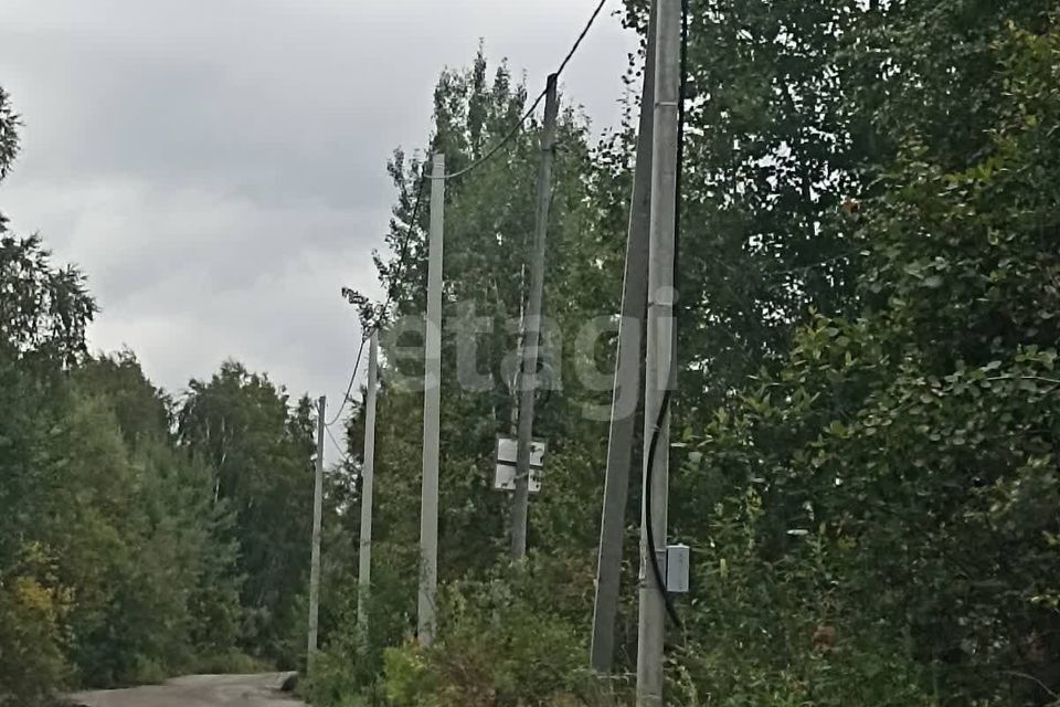 земля р-н Тобольский дачное товарищество Автомобилист-2 фото 2