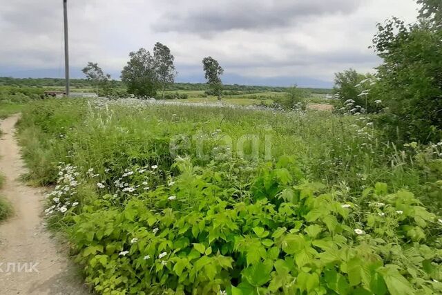 городской округ Южно-Сахалинск, СДТ Ласточка фото