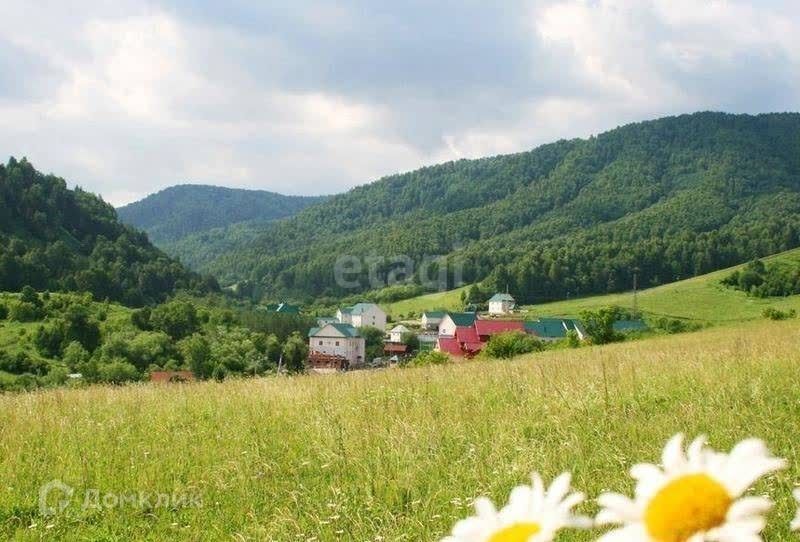 земля р-н Алтайский п Даниловка ул Алтайская фото 1