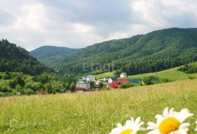 р-н Алтайский п Даниловка ул Алтайская фото