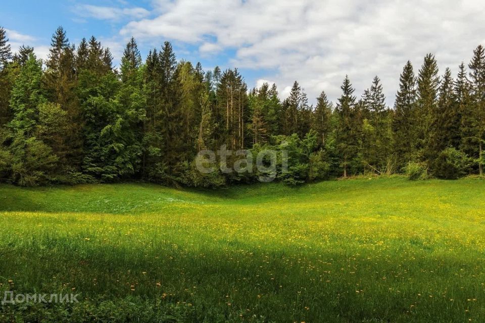 земля р-н Ирбитский Алапаевское, село Коптелово фото 1