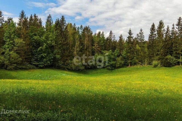 земля Алапаевское, село Коптелово фото