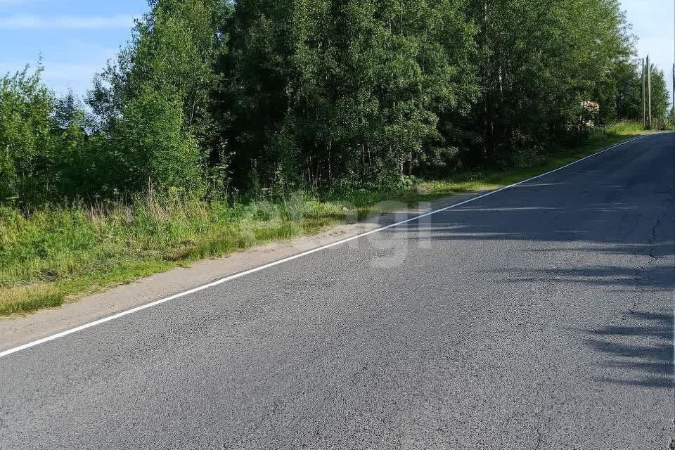 земля муниципальное образование Северодвинск, деревня Таборы фото 4