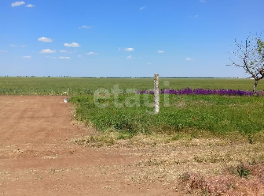 земля р-н Сакский фото 3