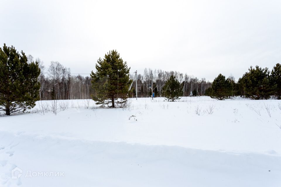 земля г Тюмень городской округ Тюмень, СНТ Луч фото 6