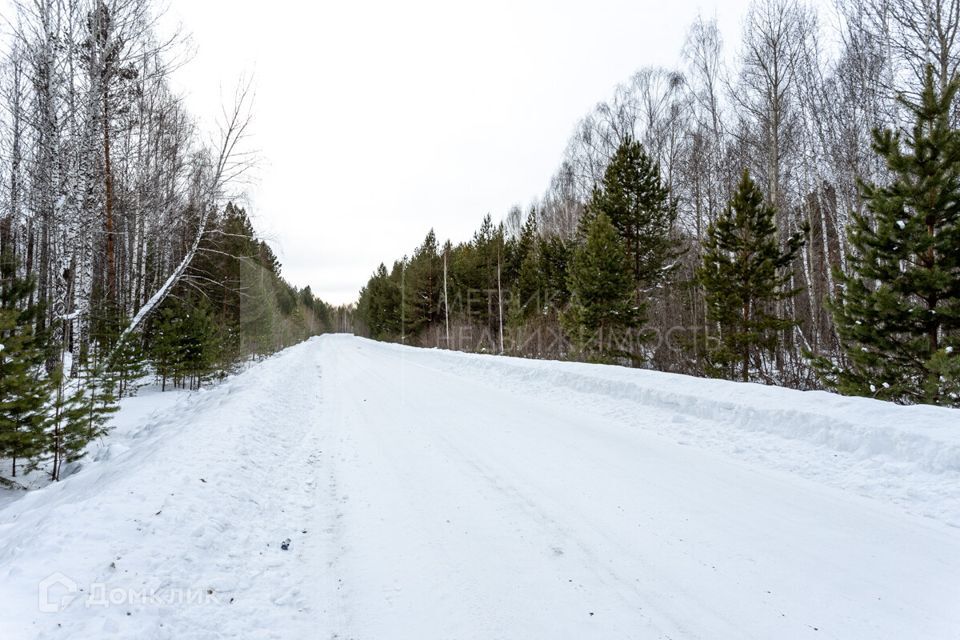 земля г Тюмень городской округ Тюмень, СНТ Луч фото 10