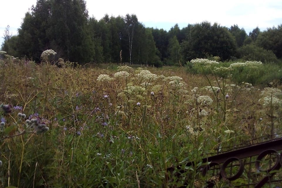 дом р-н Переславский с Алферьево ул Цветочная 10 городской округ Переславль-Залесский фото 10