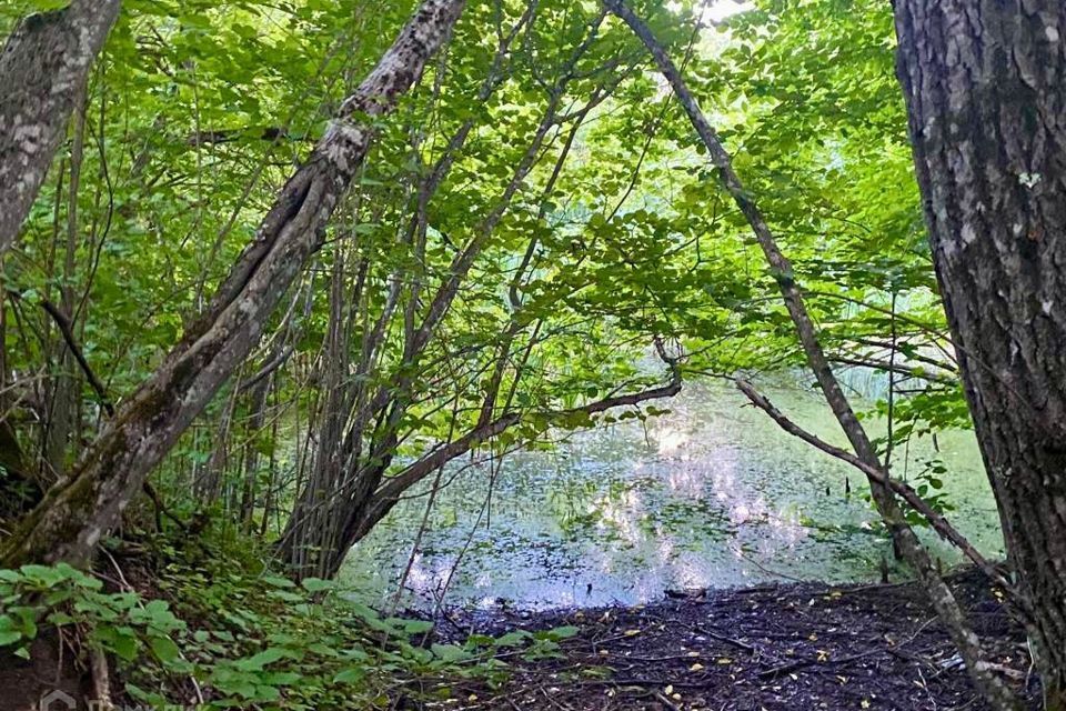 земля р-н Майкопский Республика Адыгея Адыгея, село Новопрохладное фото 5