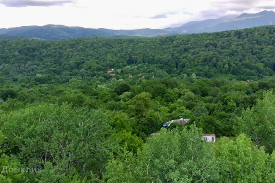 земля р-н Майкопский Республика Адыгея Адыгея, село Новопрохладное фото 9