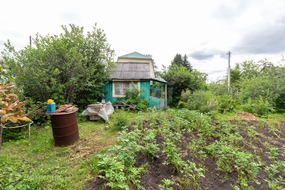 земля г Тюмень городской округ Тюмень, СТ Урожайный фото 9