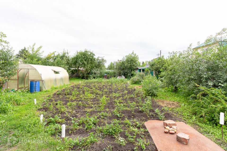 земля г Тюмень городской округ Тюмень, СТ Урожайный фото 10