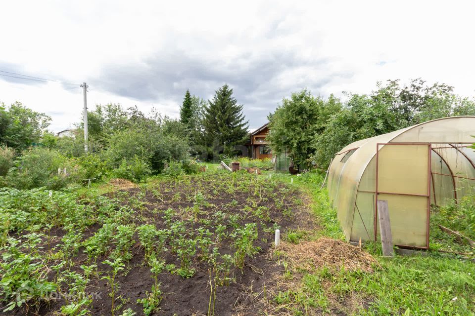 земля г Тюмень городской округ Тюмень, СТ Урожайный фото 8