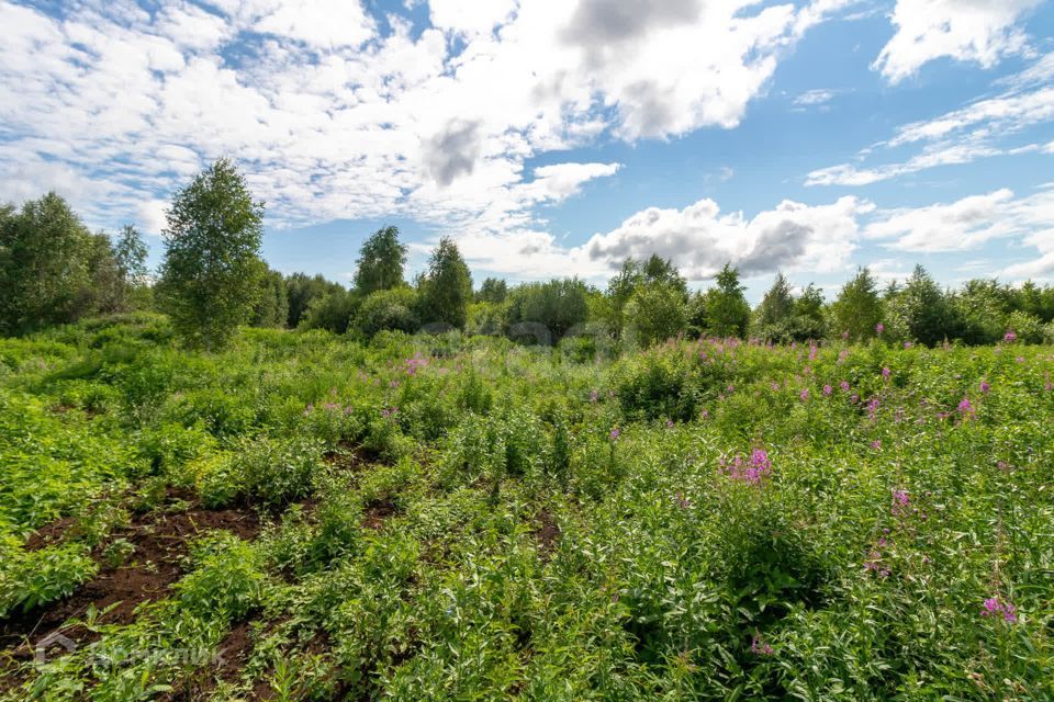 земля городской округ Тюмень, СО Фиалка, 7-я Фиалка с/о, 3 фото 7