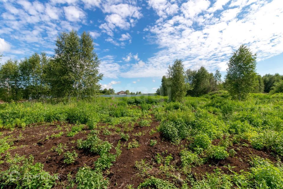 земля городской округ Тюмень, СО Фиалка, 7-я Фиалка с/о, 3 фото 9