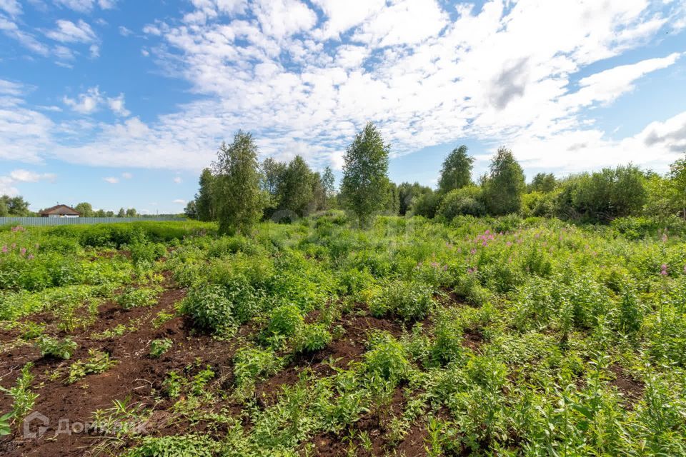 земля городской округ Тюмень, СО Фиалка, 7-я Фиалка с/о, 3 фото 8