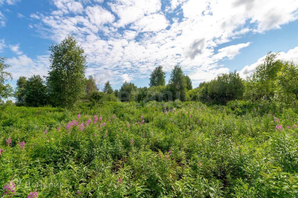 земля городской округ Тюмень, СО Фиалка, 7-я Фиалка с/о, 3 фото 10