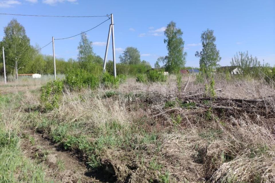 земля г Барнаул снт Полет ул Чистая городской округ Барнаул фото 8