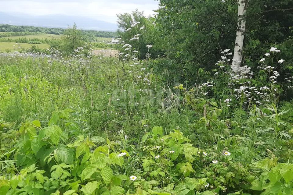 земля г Южно-Сахалинск городской округ Южно-Сахалинск, СДТ Ласточка фото 6