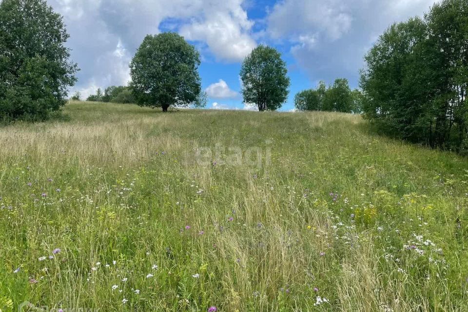 земля р-н Валдайский Национальный парк Валдайский фото 7