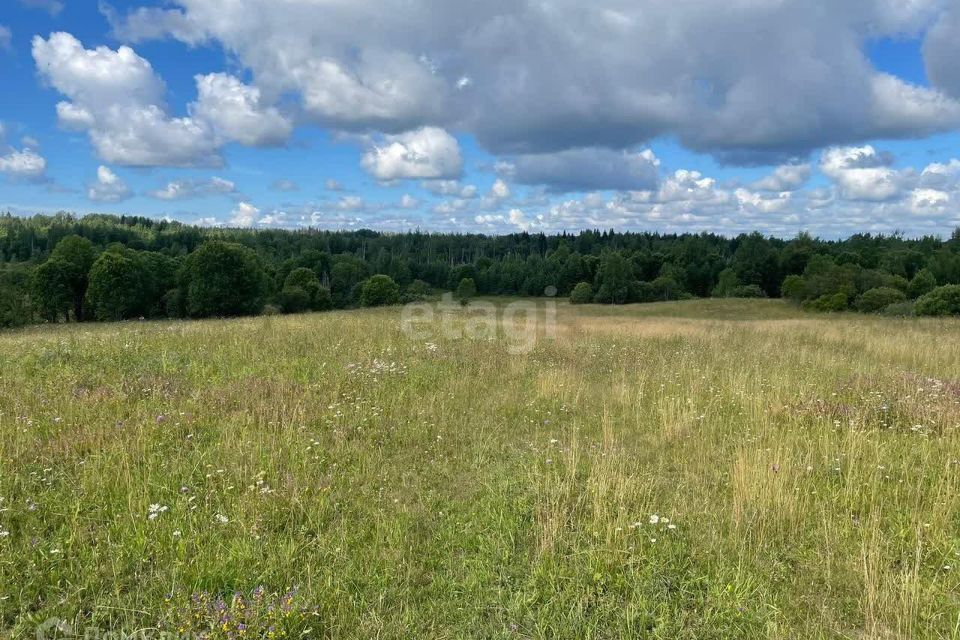 земля р-н Валдайский Национальный парк Валдайский фото 9