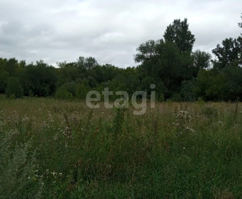 земля р-н Алтайский п Даниловка ул Алтайская фото 8