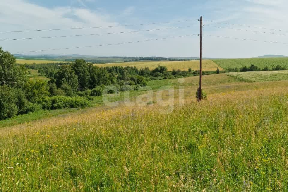 земля г Бийск ул Социалистическая 23/1 городской округ Бийск фото 6