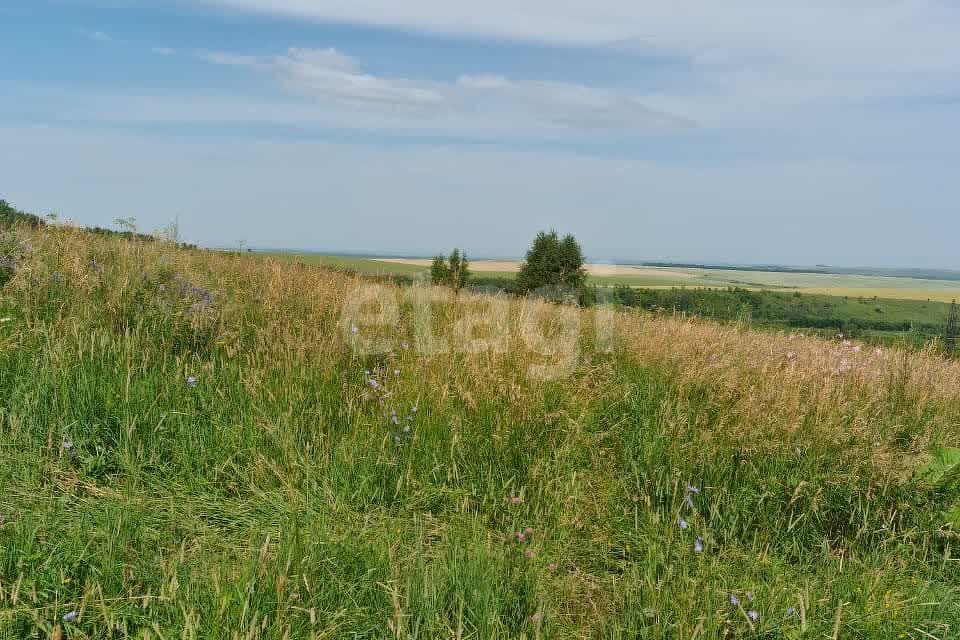 земля г Бийск ул Социалистическая 23/1 городской округ Бийск фото 8