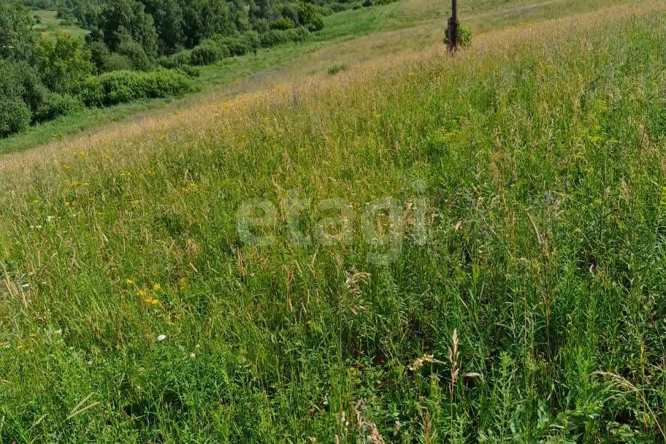 земля г Бийск ул Социалистическая 23/1 городской округ Бийск фото 10