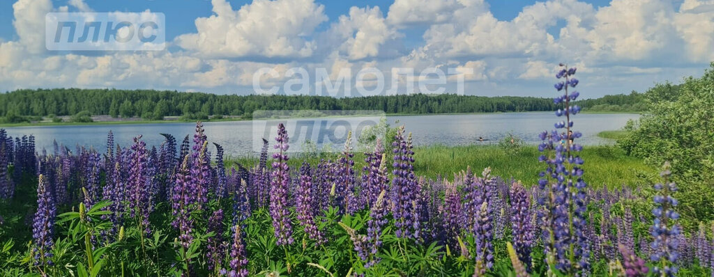 дом г Раменское Центральный район Раменское фото 5