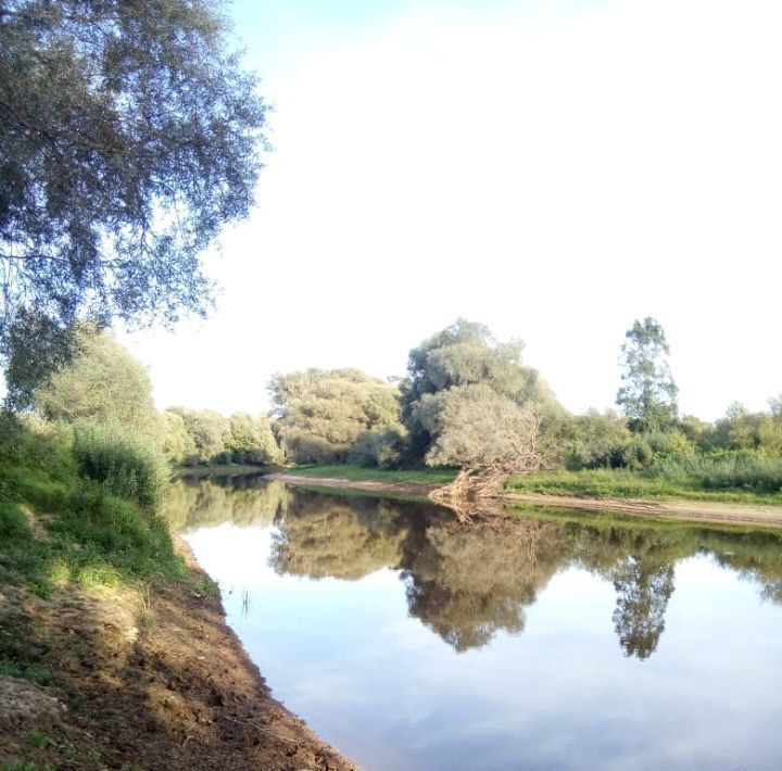 земля р-н Новгородский с Бронница пос. Боры, Бронницкое с пос фото 1