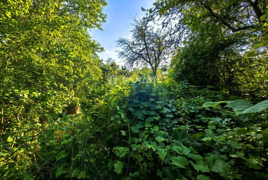 земля г Коломна СНТ Ветеран, 45 фото 4