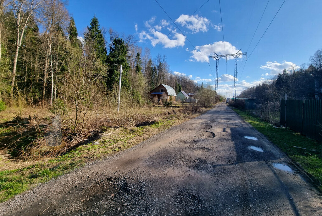 земля городской округ Пушкинский садовое товарищество Лесная Поляна фото 3