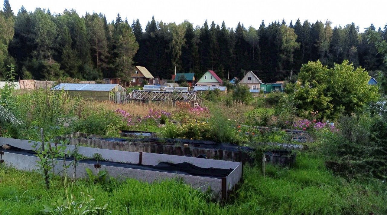 земля 50, Соликамский городской округ, № 10 СНТ фото 4