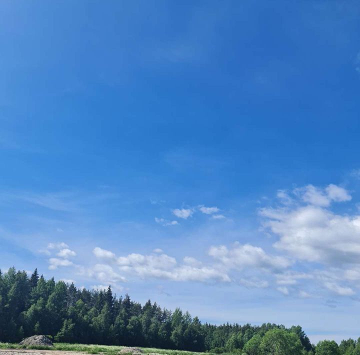 дом р-н Выборгский п Красная Долина Приморское городское поселение фото 2