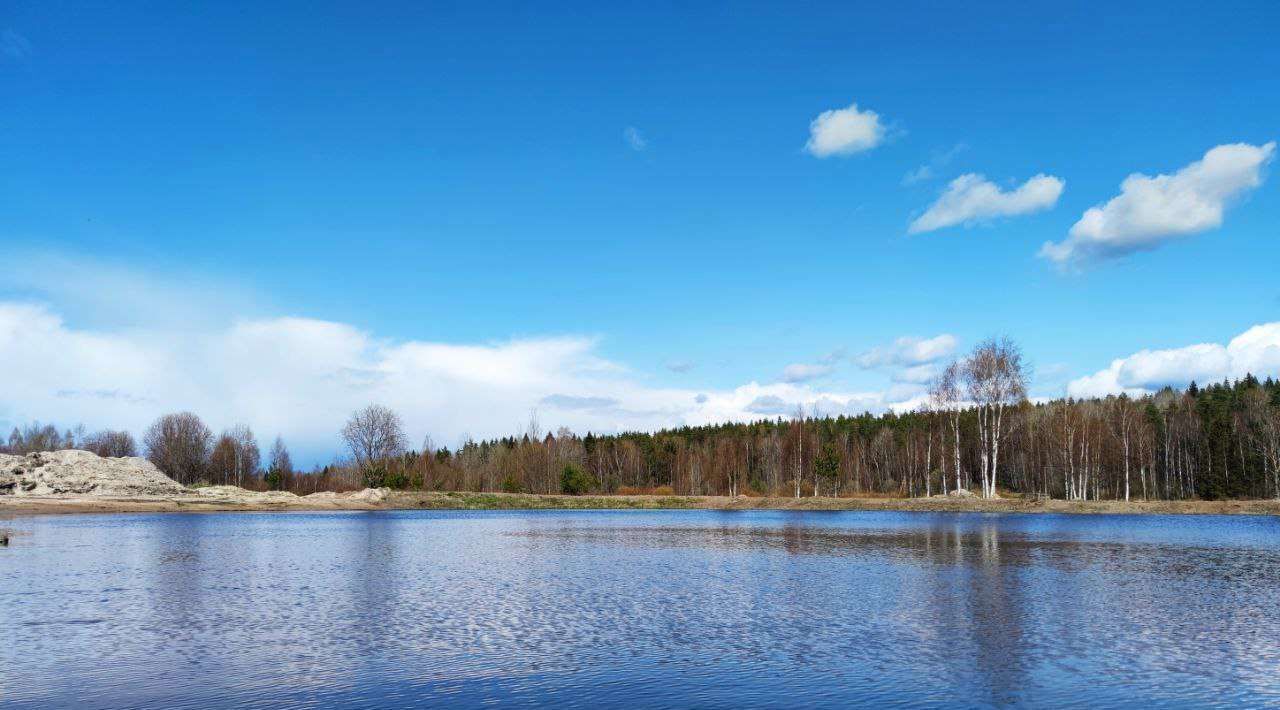 дом р-н Выборгский п Красная Долина Приморское городское поселение фото 17