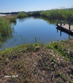 земля р-н Северский ст-ца Новодмитриевская Новодмитриевское сельское поселение фото 10