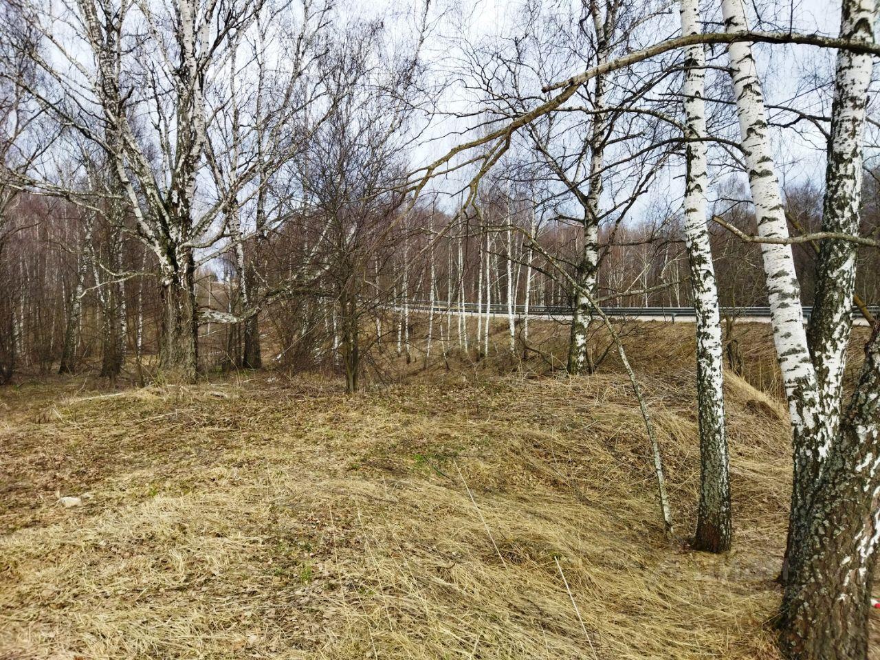 дом городской округ Озерский д Липитино ул Озерная 20 Озёры, городской округ Коломна фото 8