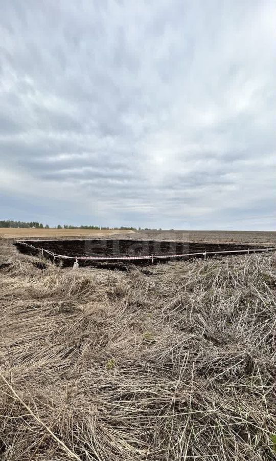 земля р-н Тюменский д Большие Акияры Червишево фото 1