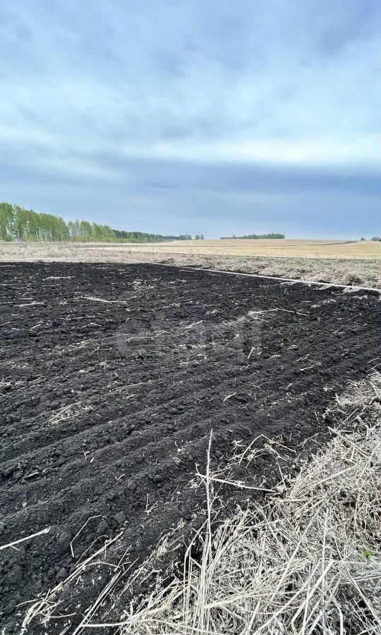 земля р-н Тюменский д Большие Акияры Червишево фото 2