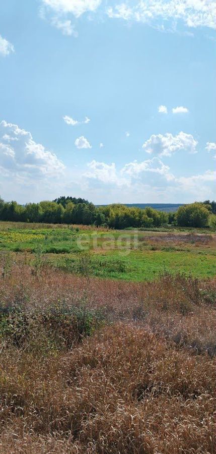 земля р-н Новооскольский с Оскольское Новый Оскол фото 2