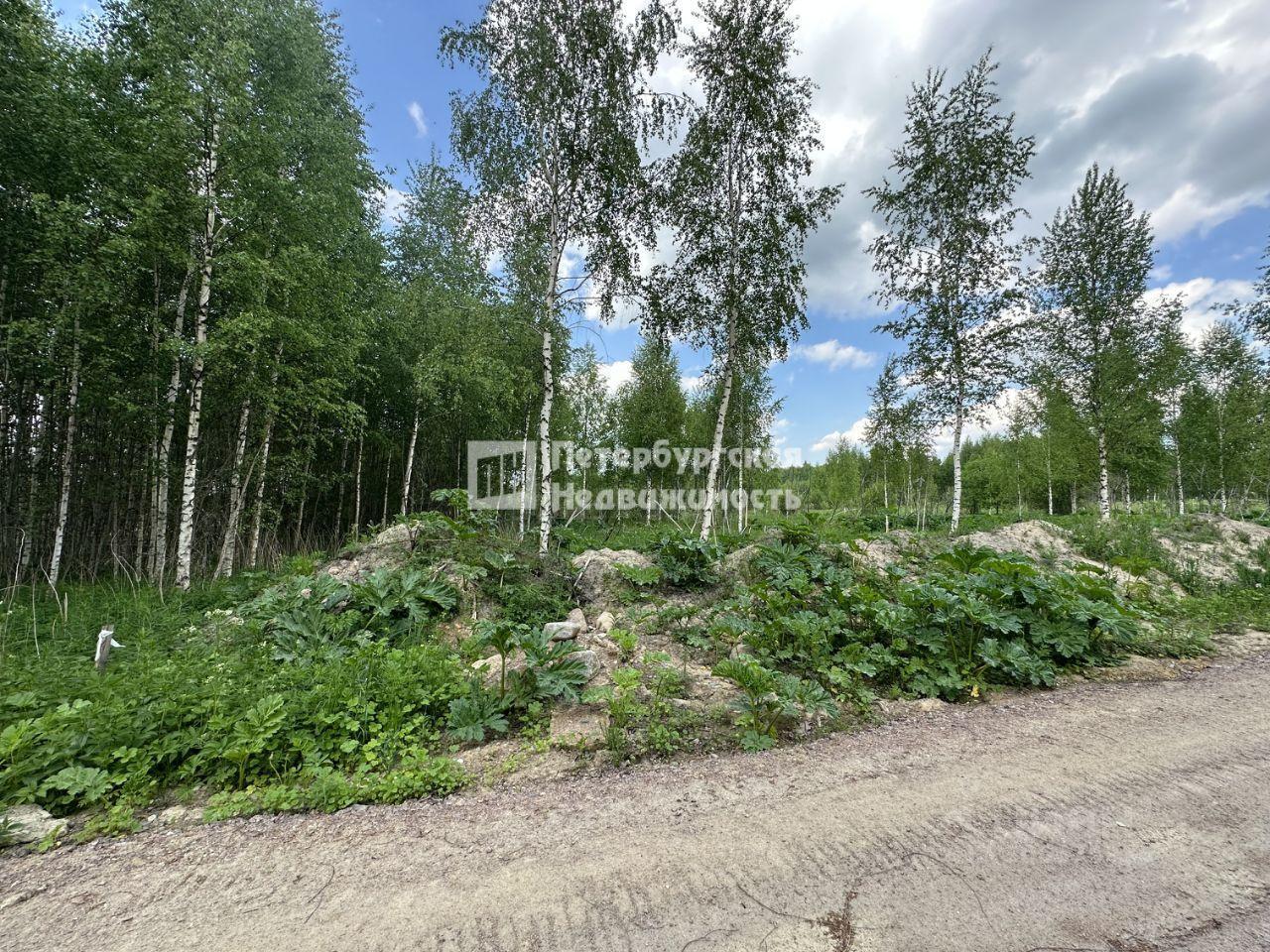 земля р-н Кировский д Пухолово Мгинское городское поселение фото 3